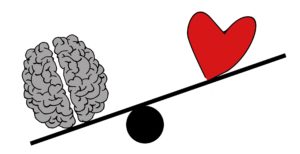 Image cerveau